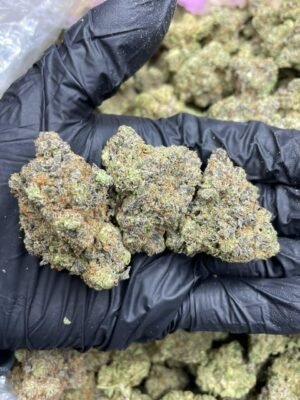 best weed strains, buy cannabis norway, buy weed australia, buy weed online, buy weed online bitcoin, buy weed online now, buy weed online uk, buy weed uk, cannabis for sale, cannabis strain for sale, weed for sale, weed strain for sale