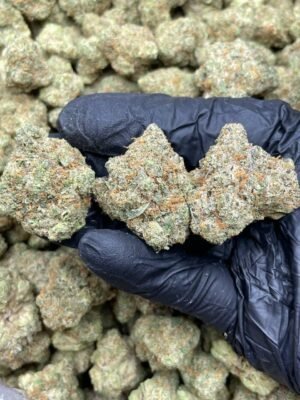 buy Nineties OG Weed Strain online