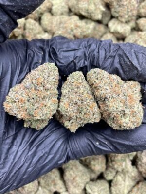Buy Obama Runtz Strain Australia - Buy weed Australia