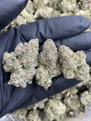  buy Dosilato weed strain online