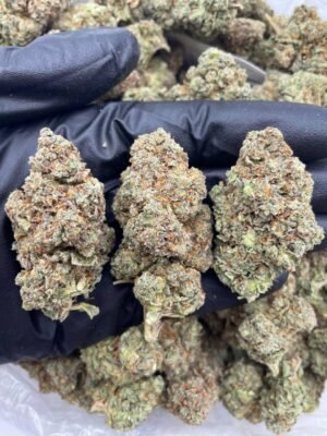 Berriez Weed Strain For Sale